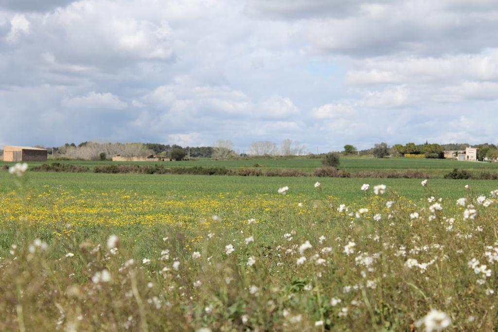 דירות Verges Allotjament Bora Bora Emporda Girona מראה חיצוני תמונה